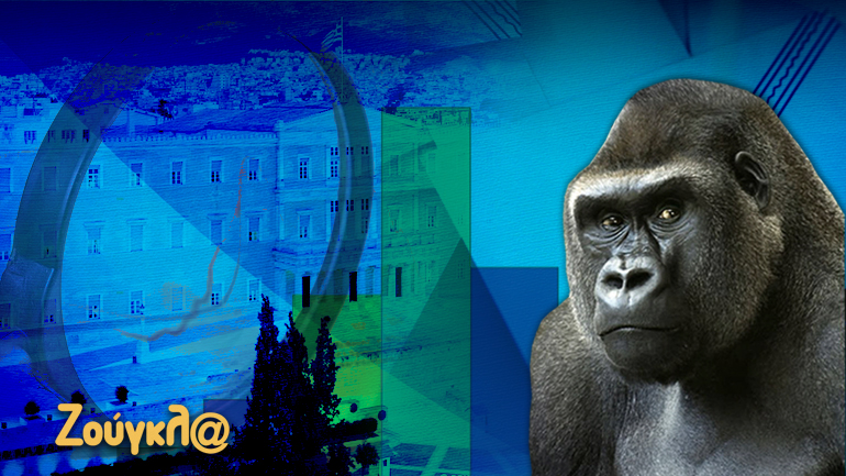 Άνοιξε η μεγάλη δημοσκόπηση της «Ζούγκλας»